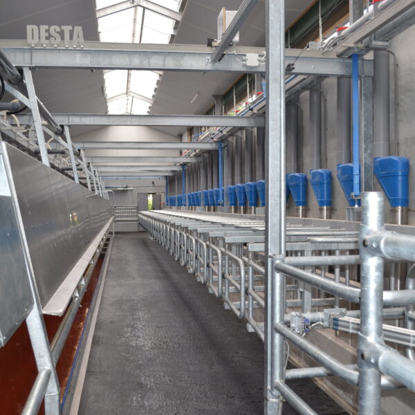 Desta